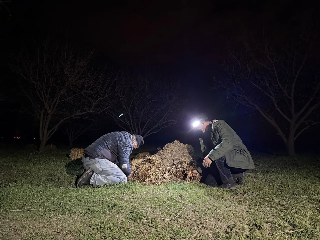 36 ili dalga dalga vuran kâbus! 2025’teki risk 2026’da da sürüyor, çiftçi ‘dumanlı’ nöbete başladı