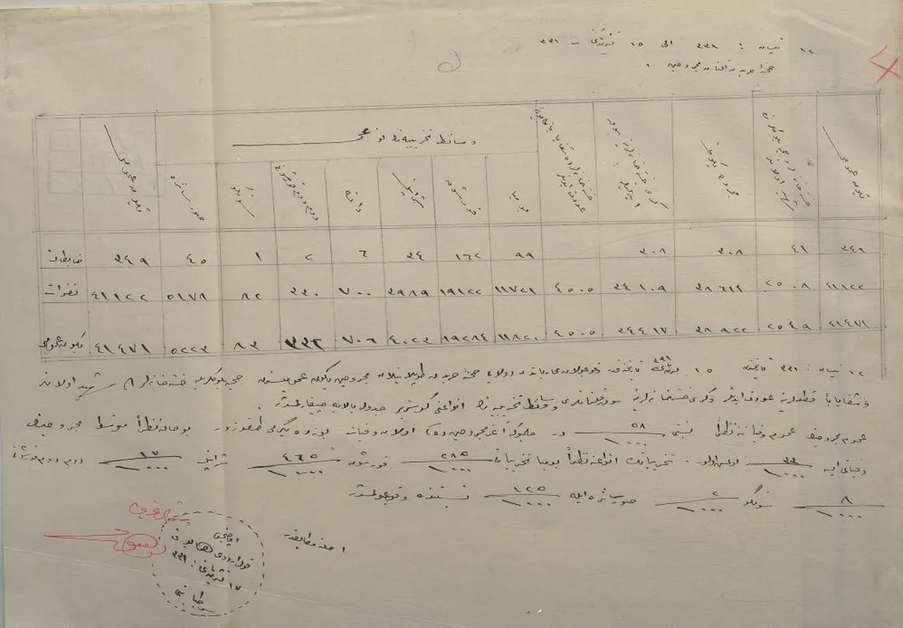 Çanakkale Savaşı'na ait! 111 yıl sonra ilk defa gün yüzüne çıktı