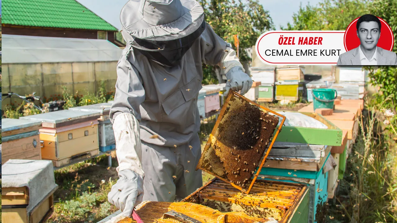 Sahteciliğe karşı denetim üretim aşamasına indi! Bal peteklerine standart geliyor