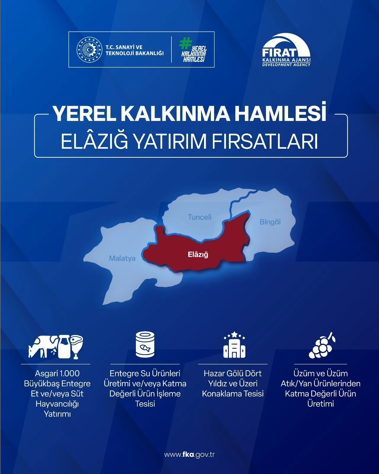 301 milyon TL nakit verilecek! 4 ilde yatırım yapacaklara devletten dev destek