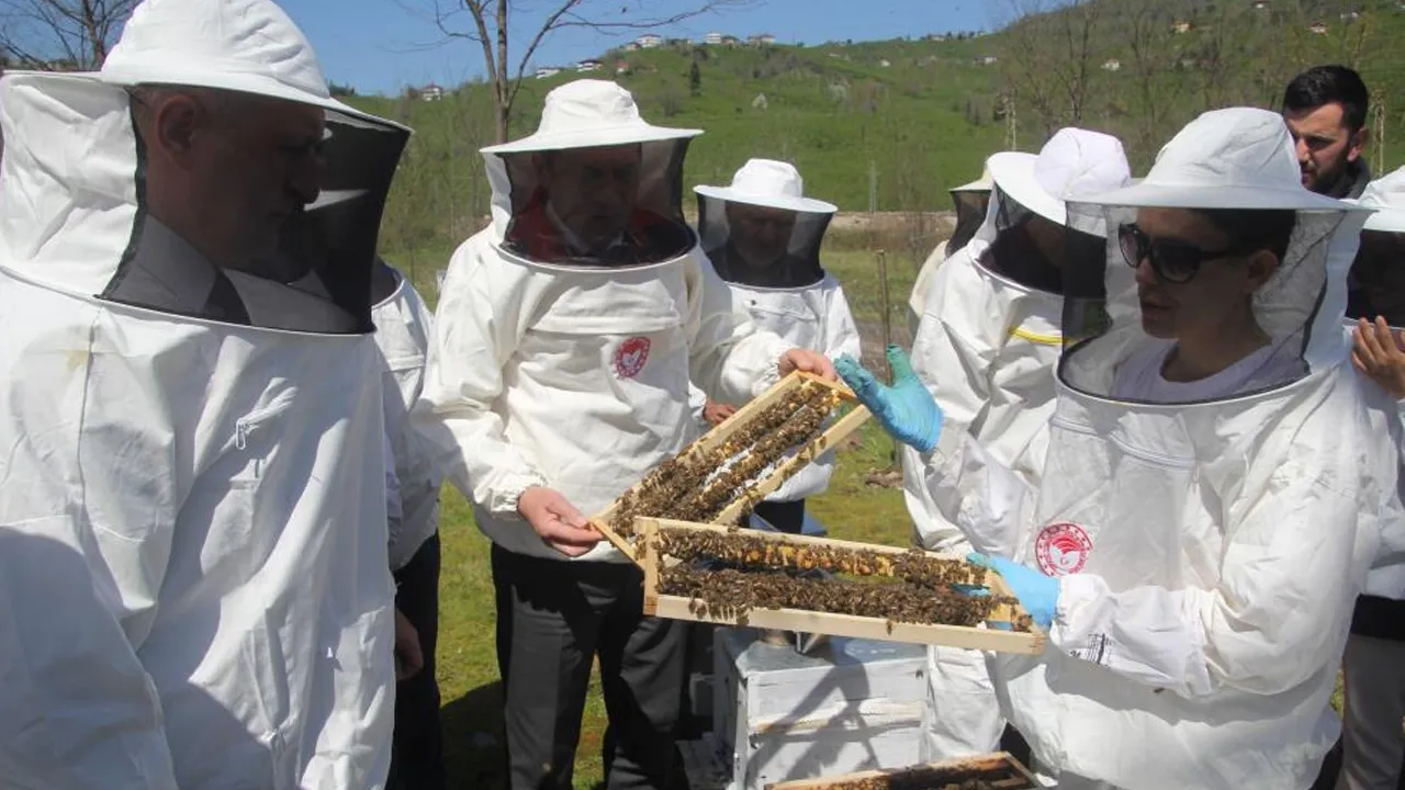 Arıcıya 'altın' fırsat! Bakanlık onaylı projede ilk adımlar atıldı