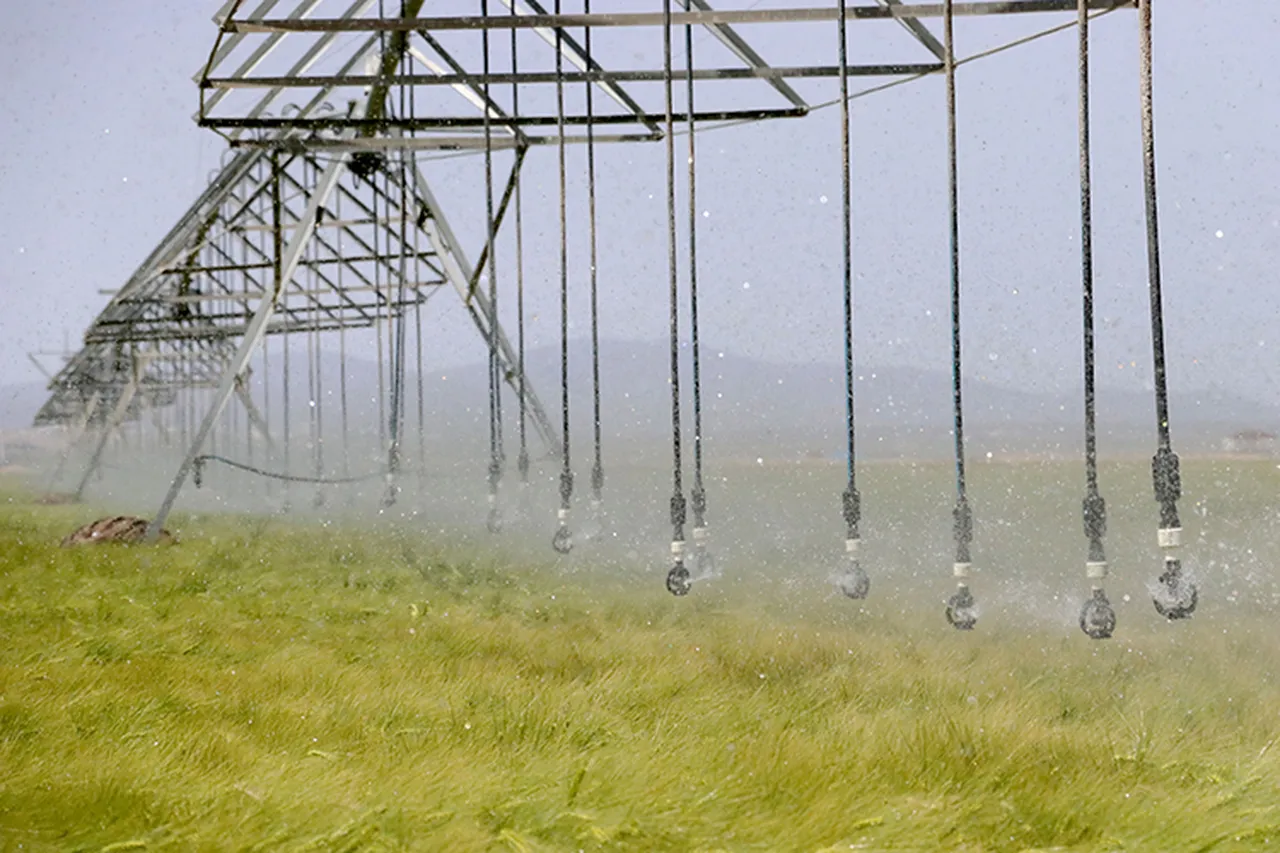 Çiftçinin enerjisi devletten: Yatırımın yüzde 75ini karşılıyor