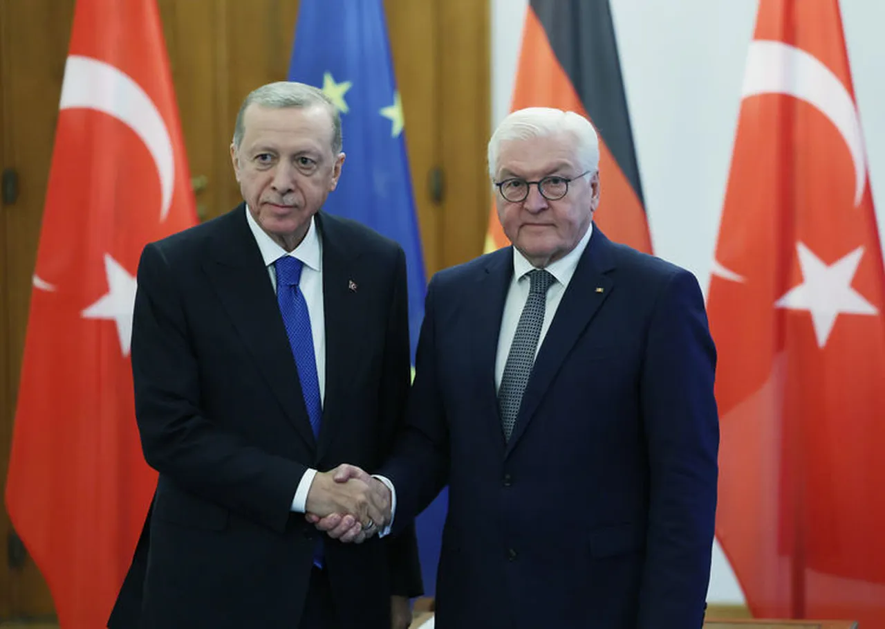 Cumhurbaşkanı Erdoğan, Alman mevkidaşı Steinmeier ile görüştü