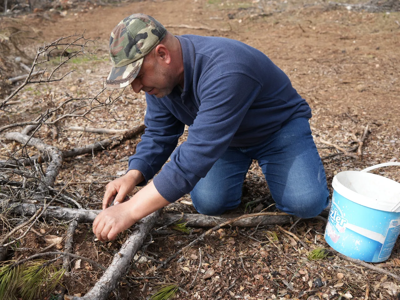 Fransada bir tabağına 100 dolar ödüyorlar! Tazesinin kilosu bin, kurutulmuşu 7 bin TL