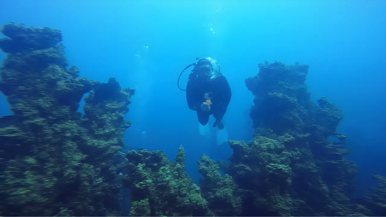Hepsi binlerce yıllık, boyları 40 metre! Van’ın gizli hazinesi Guinness kapısında, ikinci rekor mu geliyor?