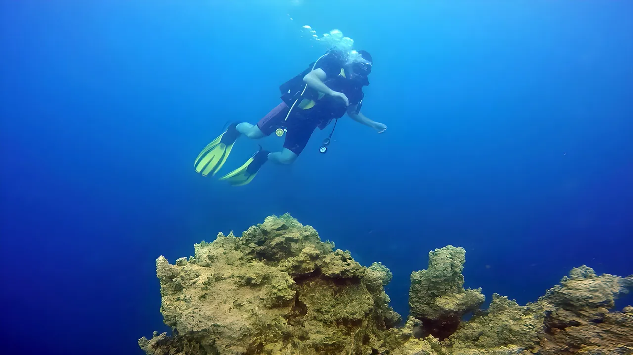 Hepsi binlerce yıllık, boyları 40 metre! Van’ın gizli hazinesi Guinness kapısında, ikinci rekor mu geliyor?