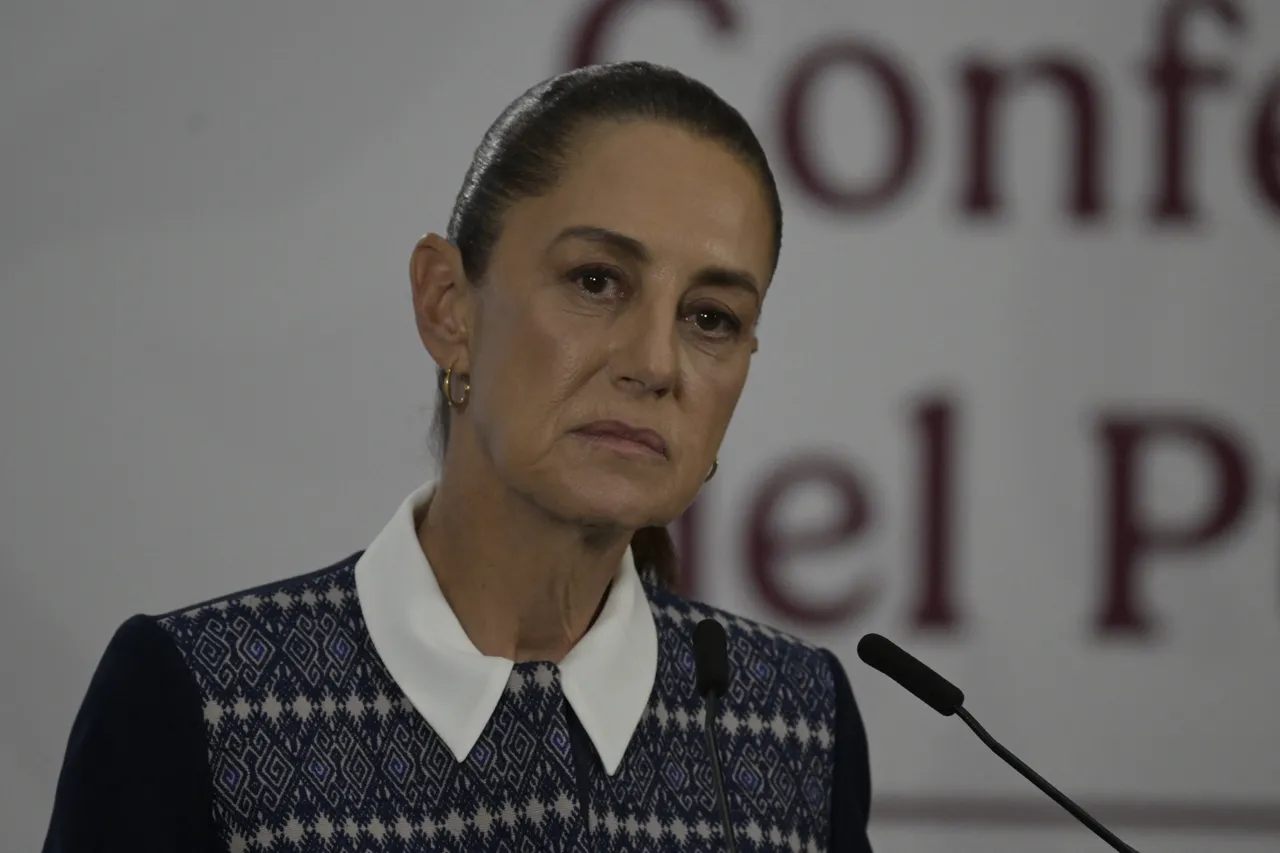 Meksika Devlet Başkanı Claudia Sheinbaum