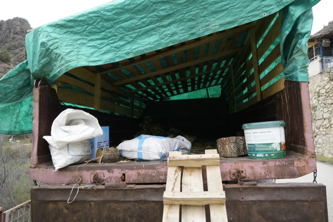 Evinin önünde odunluk olarak kullandığı yarım asırlık kamyonu, İstanbul'da ceza yedi