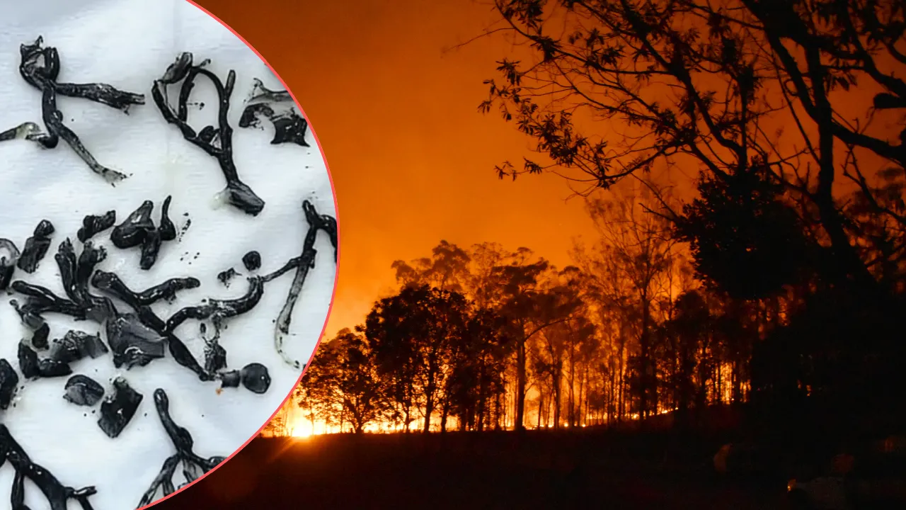 Nefes darlığı şikayetiyle başvurmuştu! Ciğerlerinden çıkanlar doktorları bile şaşkına çevirdi