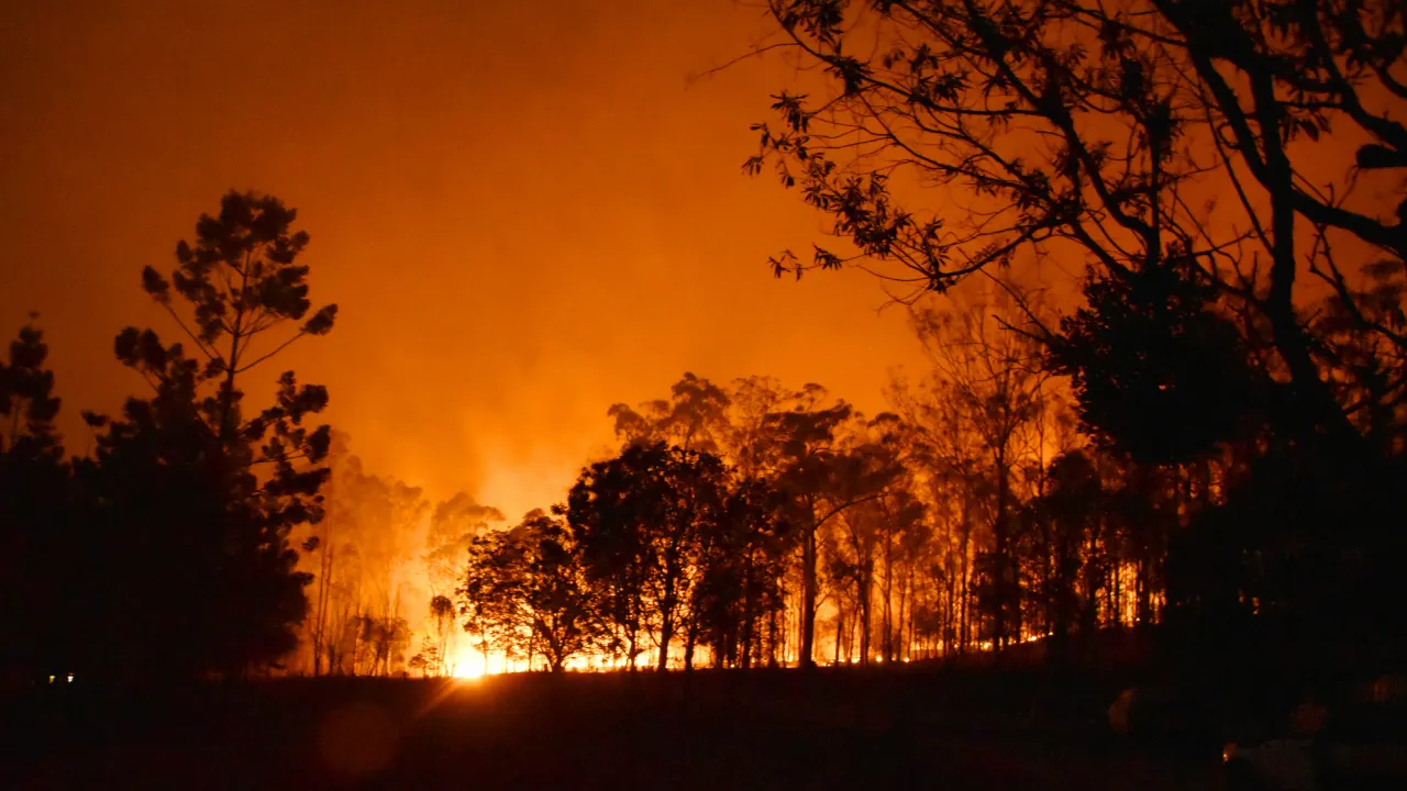 Nefes darlığı şikayetiyle başvurmuştu! Ciğerlerinden çıkanlar doktorları bile şaşkına çevirdi