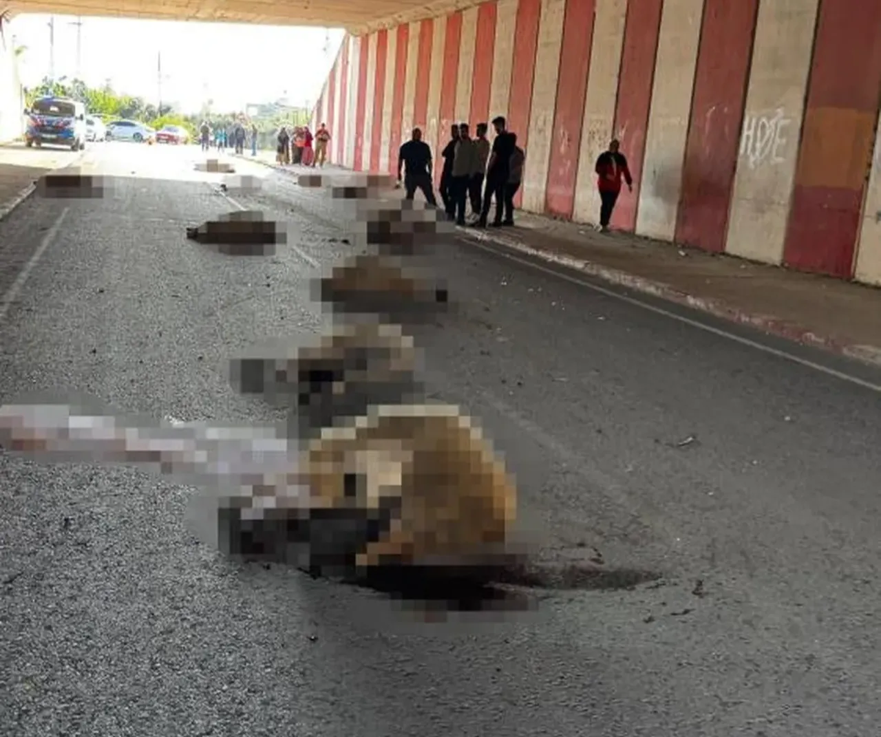 Otomobil sürüye daldı! Çok sayıda hayvan telef oldu