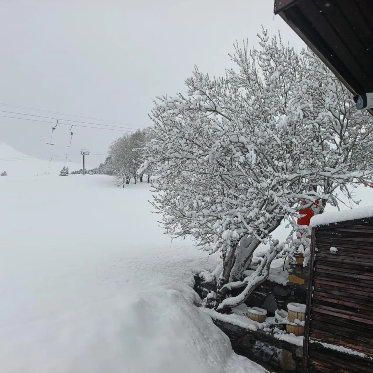 Uludağ'a nisan sonunda kış geri geldi! 1 metre kar var