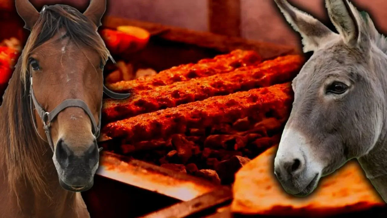 Yine aynı il yine aynı skandal! Vatandaşa at ve eşek eti yedirdiler