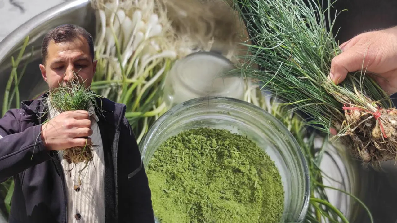 Doğal hazine! Bulan köşeyi dönüyor, kilosu 15 bin TL'den satılıyor