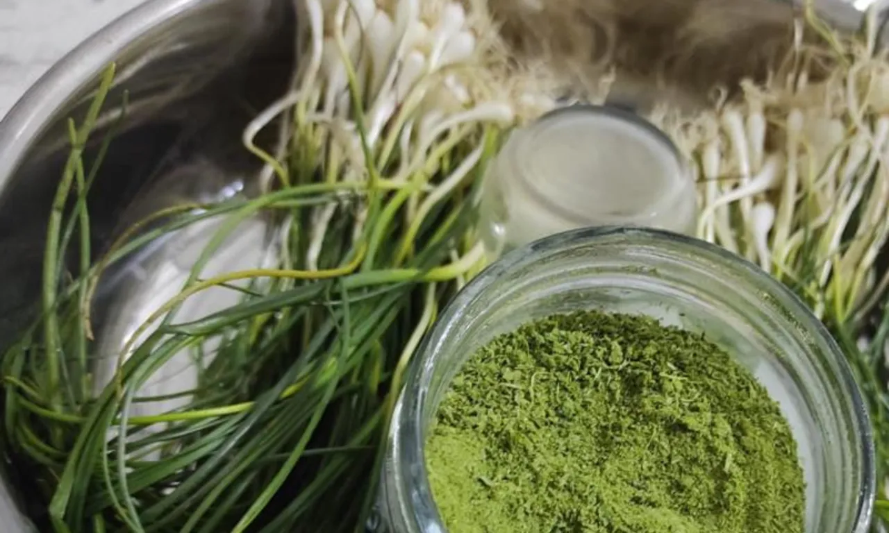 Doğal hazine! Bulan köşeyi dönüyor, kilosu 15 bin TL'den satılıyor