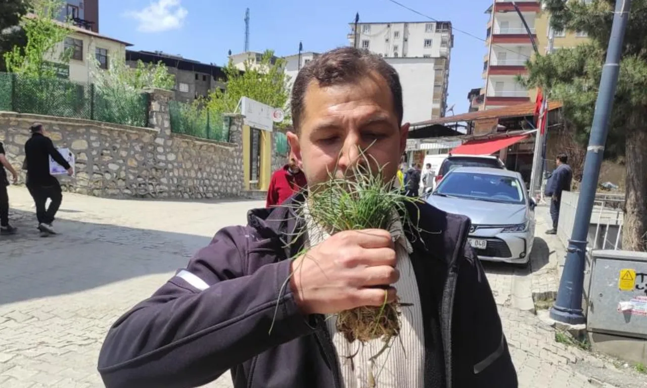 Doğal hazine! Bulan köşeyi dönüyor, kilosu 15 bin TL'den satılıyor