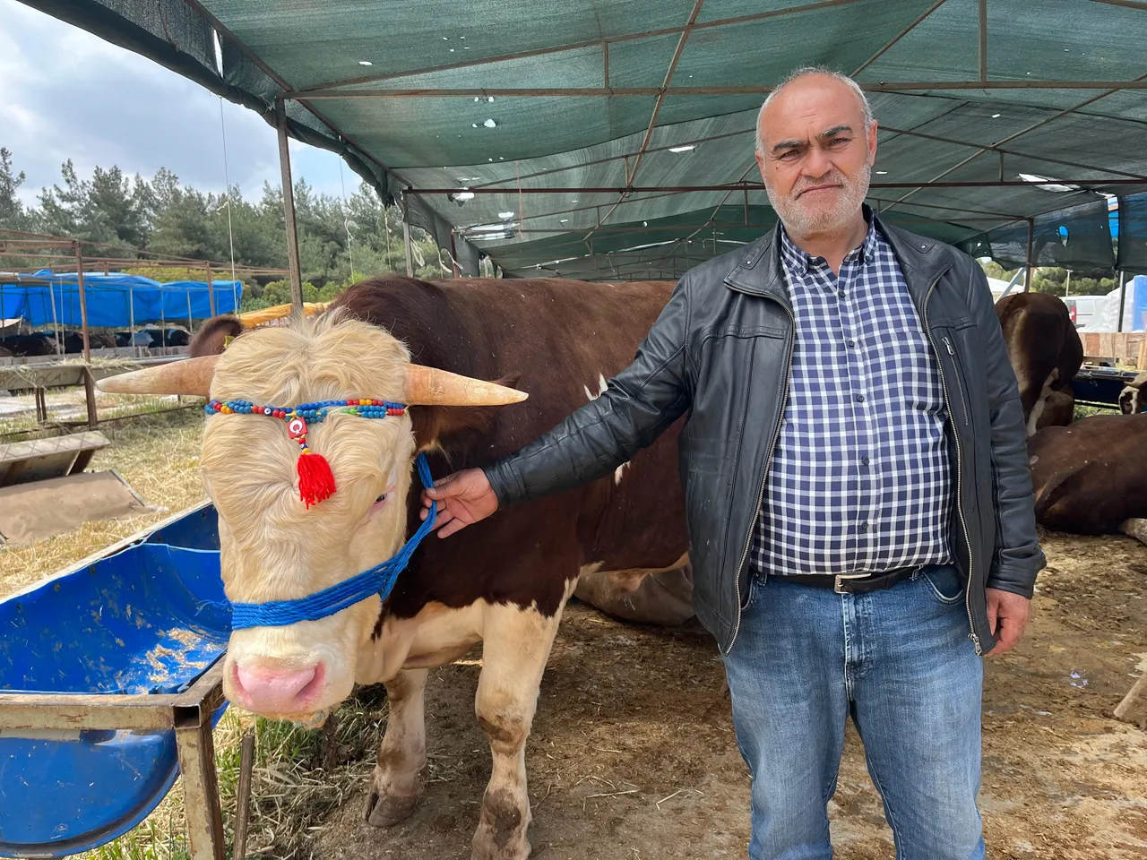 Kurban  bağışında sahte derneklere dikkat uyarısı... "Dolandırılmayın"