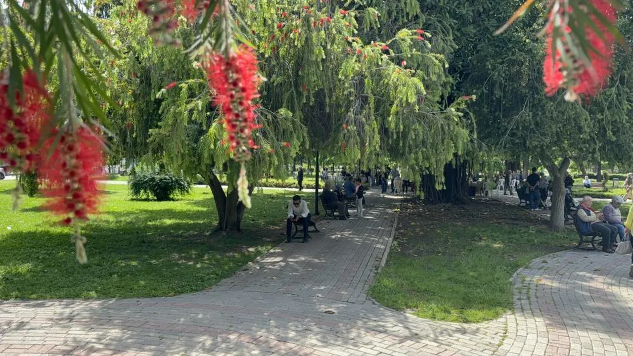 Daha yaz gelmeden kavruldular! Kentte termometreler 41 dereceyi gösterdi