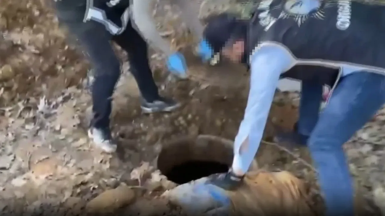 İstanbul'da büyük operasyon! Toprak altından binlerce silah parçası çıktı