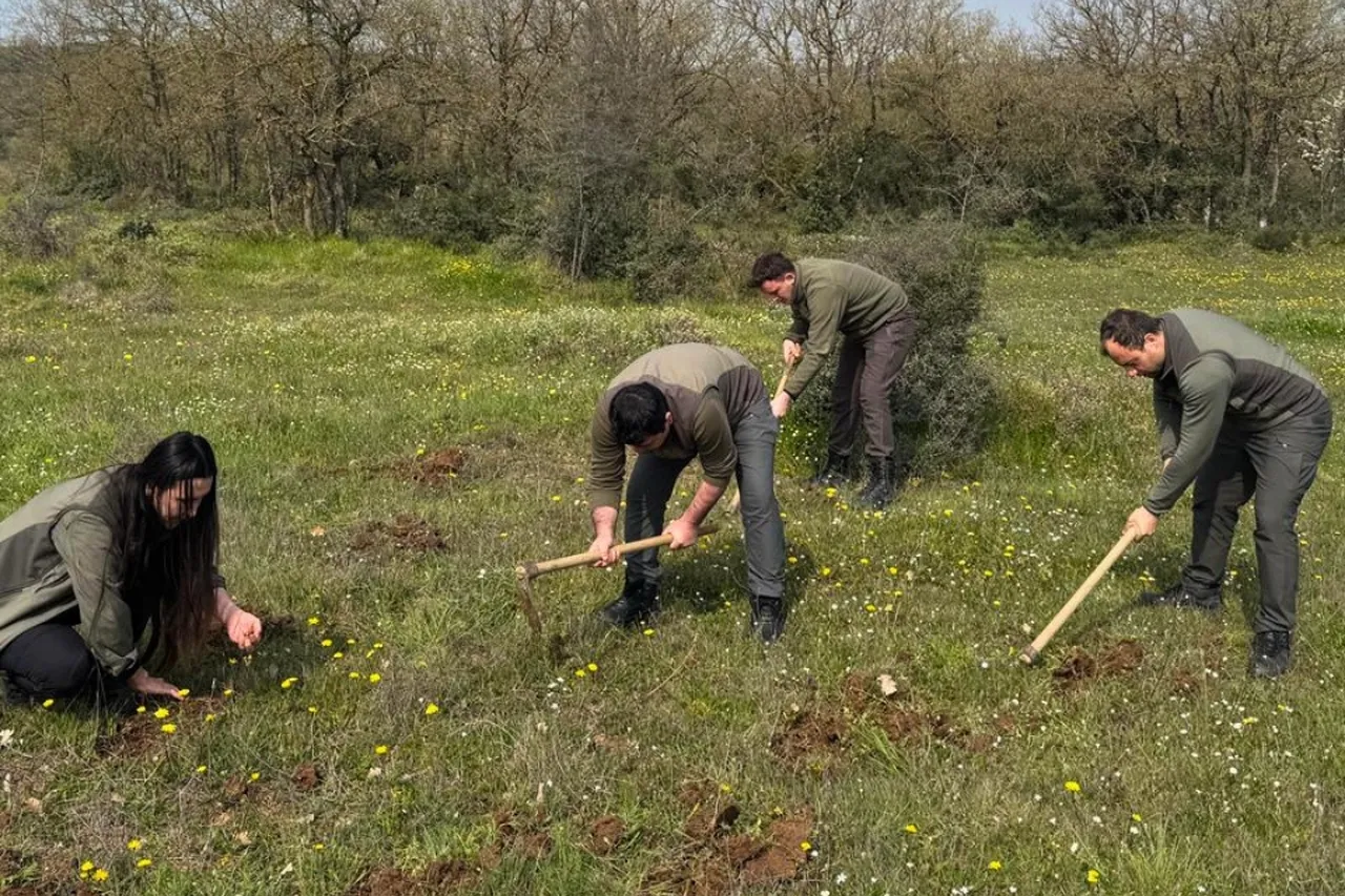 İzinsiz işin bedeli ağır oldu: 15 kilo topladı, 700 bin lira ödeyecek
