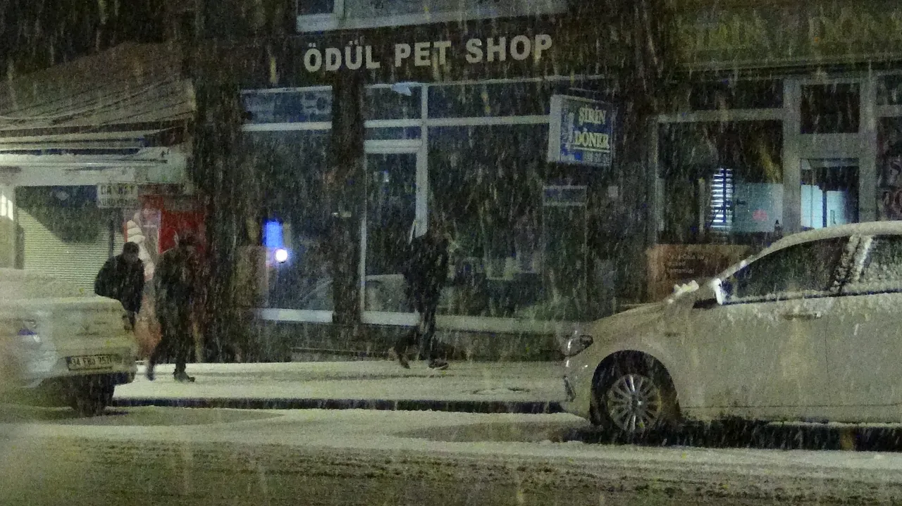 Kar yağışı etkisini artırdı, kış adeta geri geldi! Tüm kent beyaza büründü