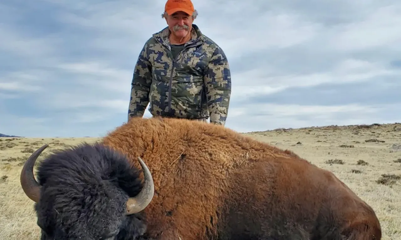 Lüks av gezisi kanlı bitti: Milyoner iş adamı fillerin altında can verdi