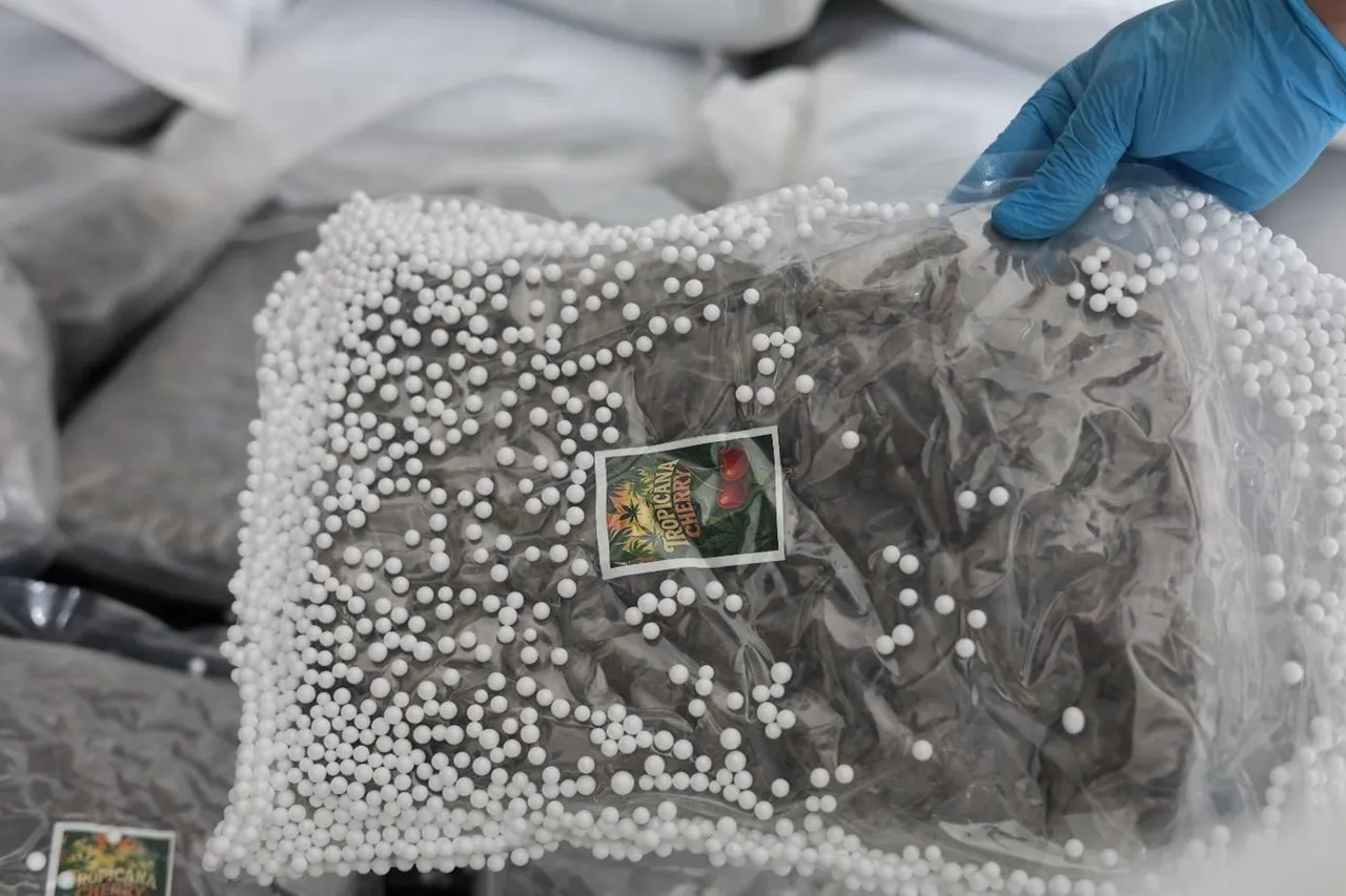 MİTten uyuşturucu operasyonu! Lazkiyedeki gemiden 236 kg uyuşturucu çıktı