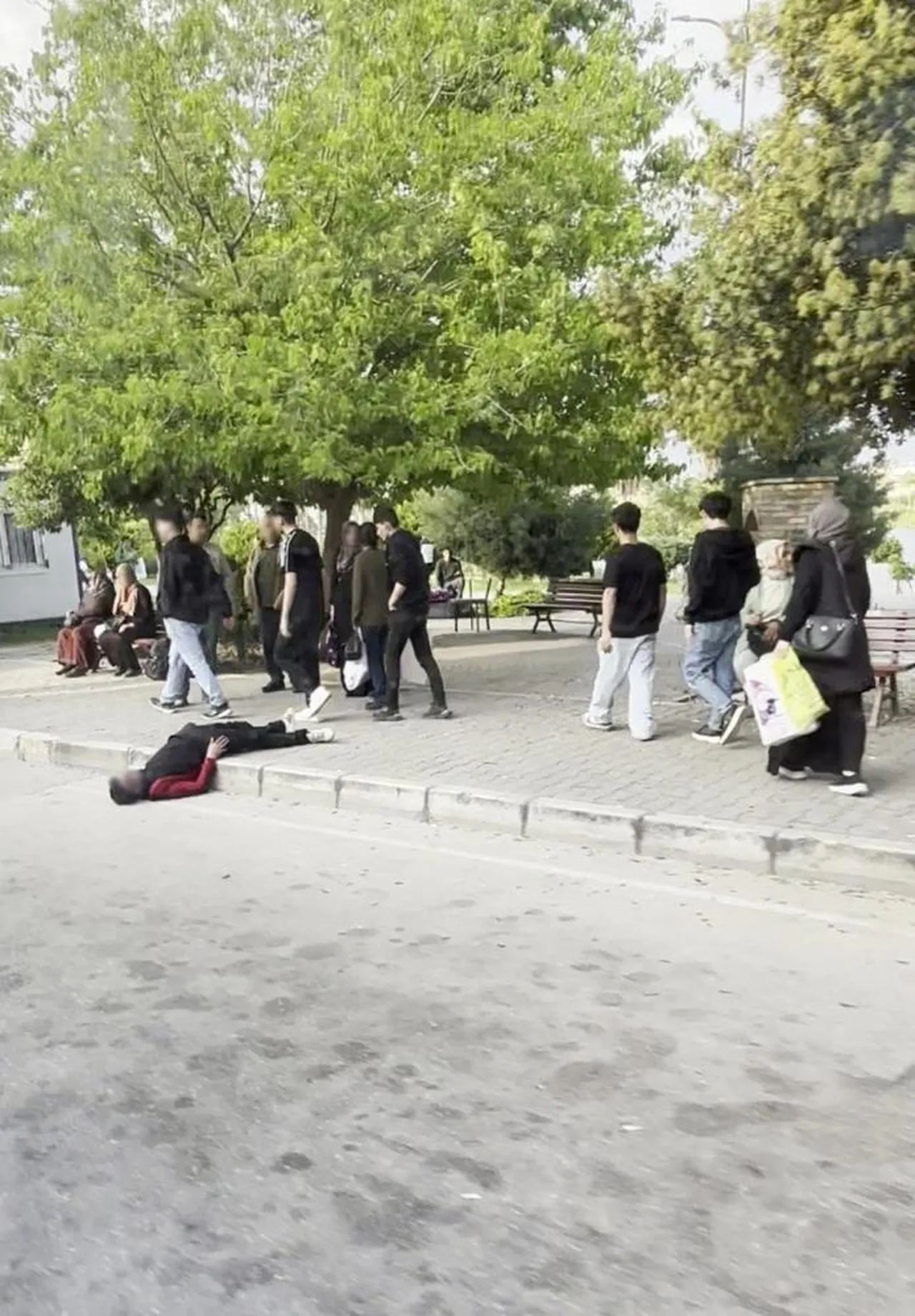 Adana'da içler acısı manzara! Gören kayda aldı