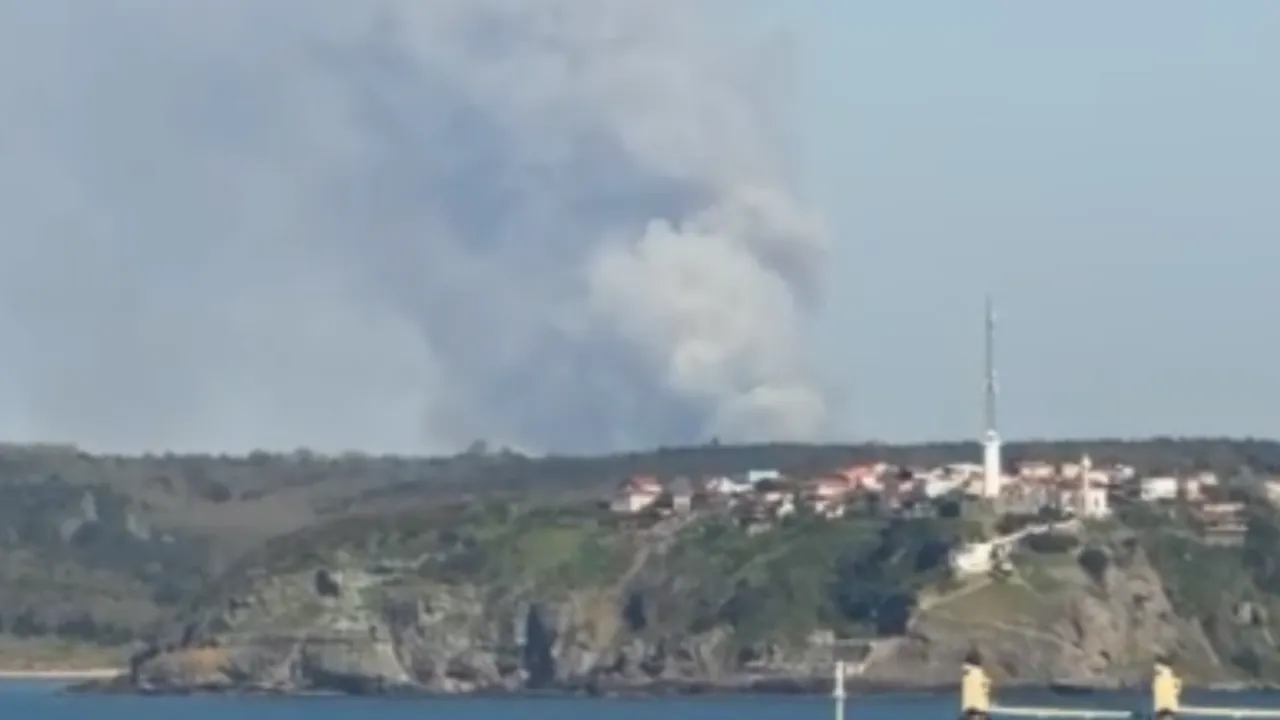 Beykoz'da ormanlık alanda yangın çıktı