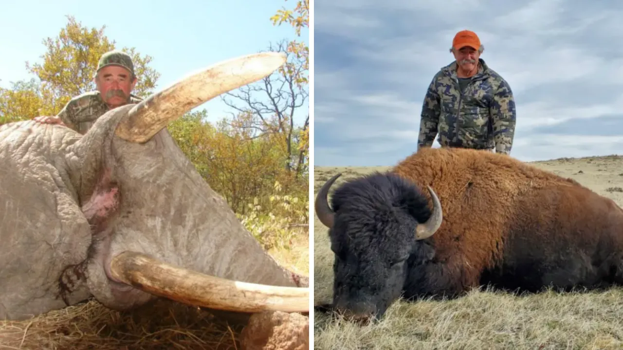 Ünlü milyonerin feci sonu! Ava giderken avlandı, 5 filin altında ezilerek can verdi