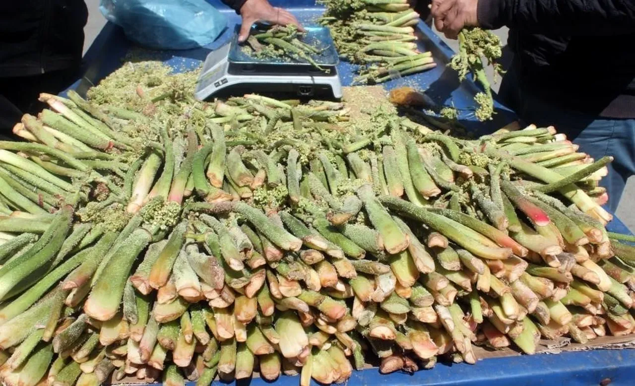 3000 metre rakımda yetişiyor! Tezgahlara düştü... Kilosu 300 lira