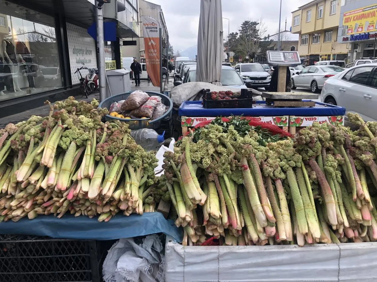3000 metre rakımda yetişiyor! Tezgahlara düştü... Kilosu 300 lira