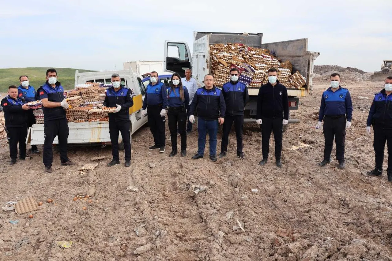 Az kalsın soframıza gelecekti! 5 bin koli yumurta imha edildi