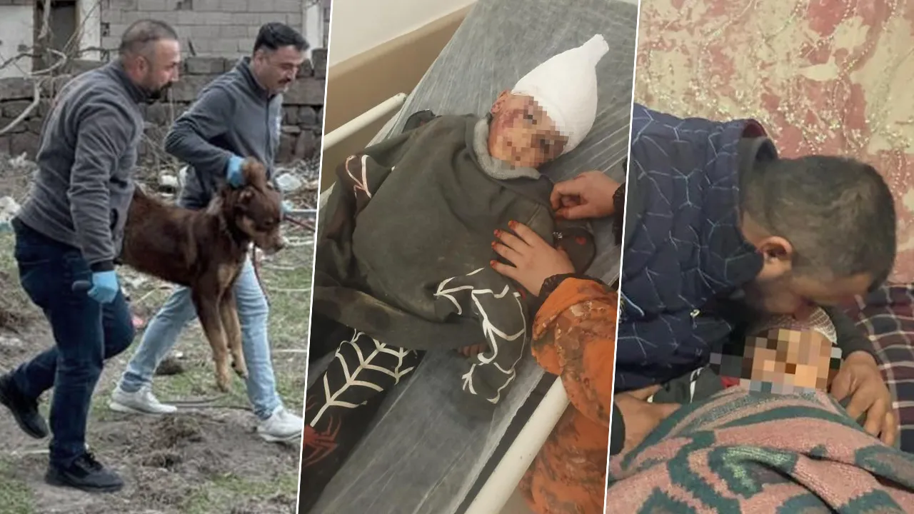 Başıboş sokak köpeği saldırmıştı! 3 yaşındaki bebek 34 gün sonra evinde... Babaya ahlaksız teklif