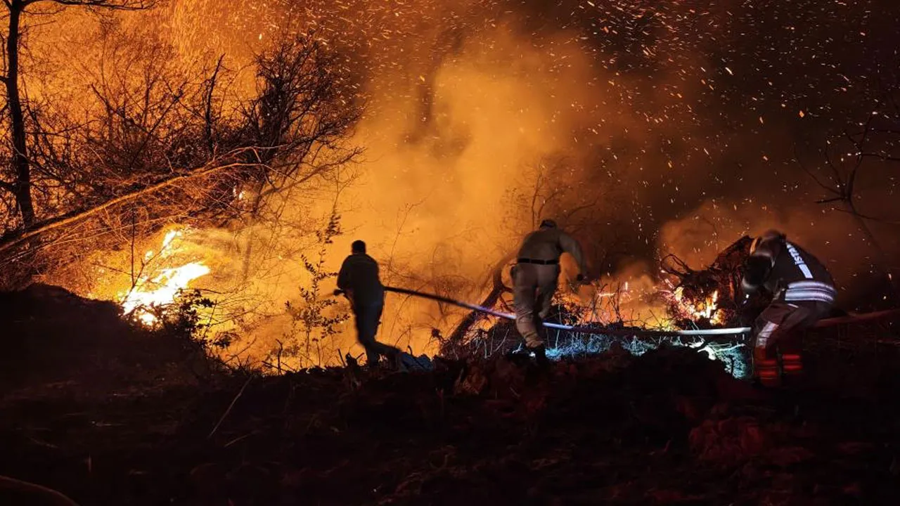 Beykoz'daki yangın 9 saat sonra kontrol altına alındı! 14 hektar kül oldu