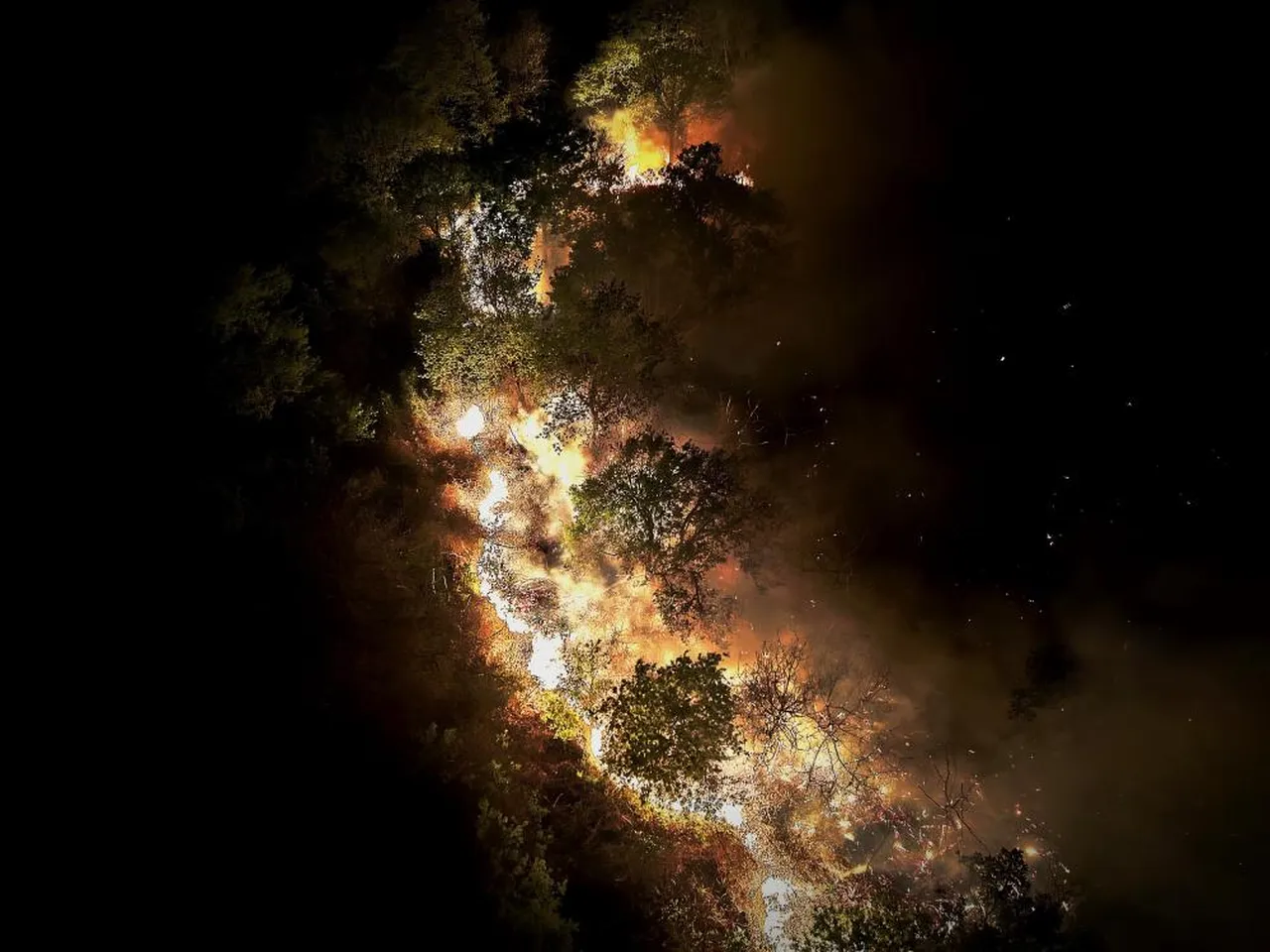 Beykoz'daki yangın 9 saat sonra kontrol altına alındı! 14 hektar kül oldu