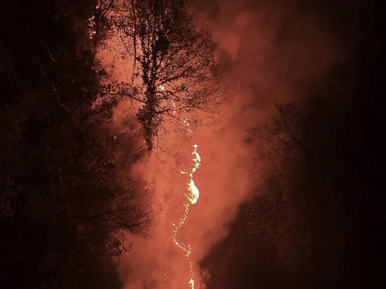 Beykoz'daki yangın 9 saat sonra kontrol altına alındı! 14 hektar kül oldu