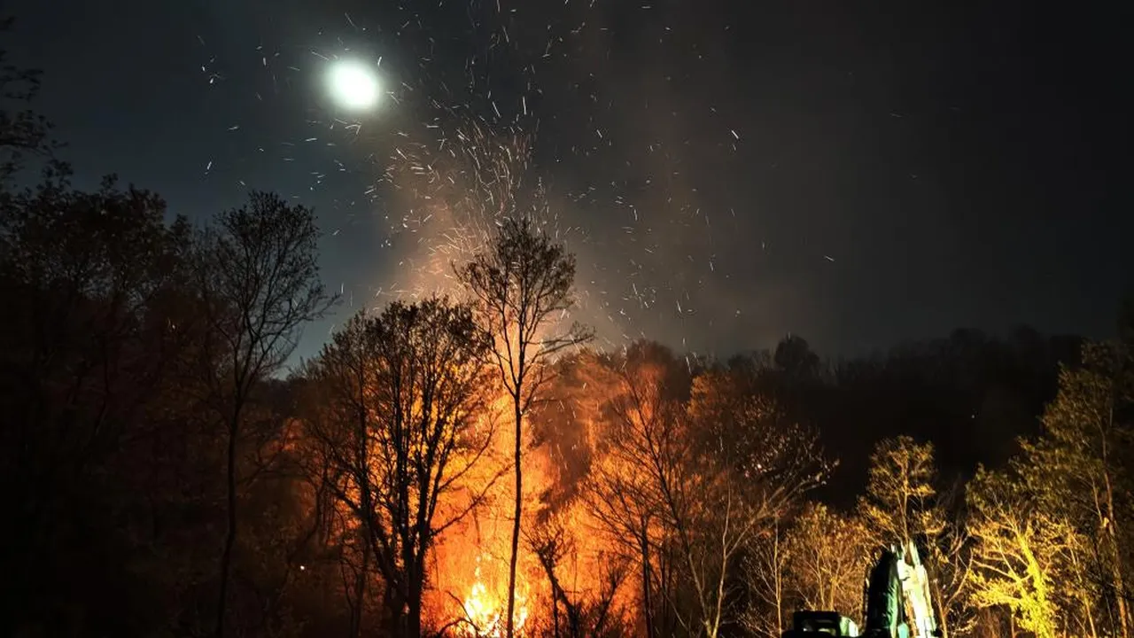 Beykoz'daki yangın 9 saat sonra kontrol altına alındı! 14 hektar kül oldu
