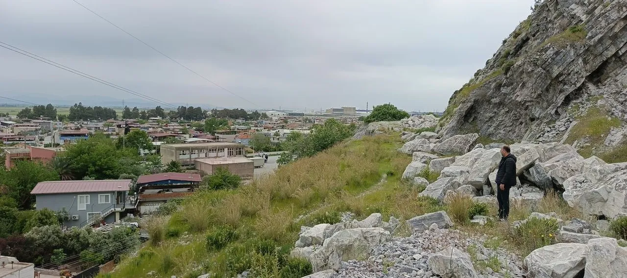 Dünyada sadece Aydında yetişiyor! Türkiye’nin yıllar sonra keşfedilen bitkisi yok olma tehlikesiyle karşı karşıya