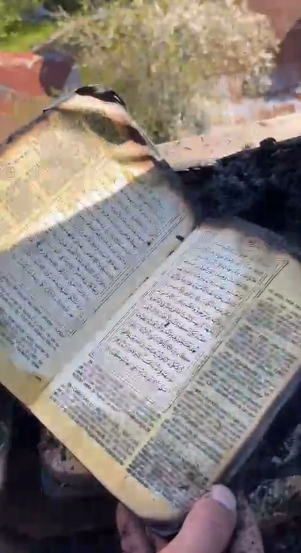 Yangında küle dönen evden sapasağlam çıktı! Tüyler ürperten detay