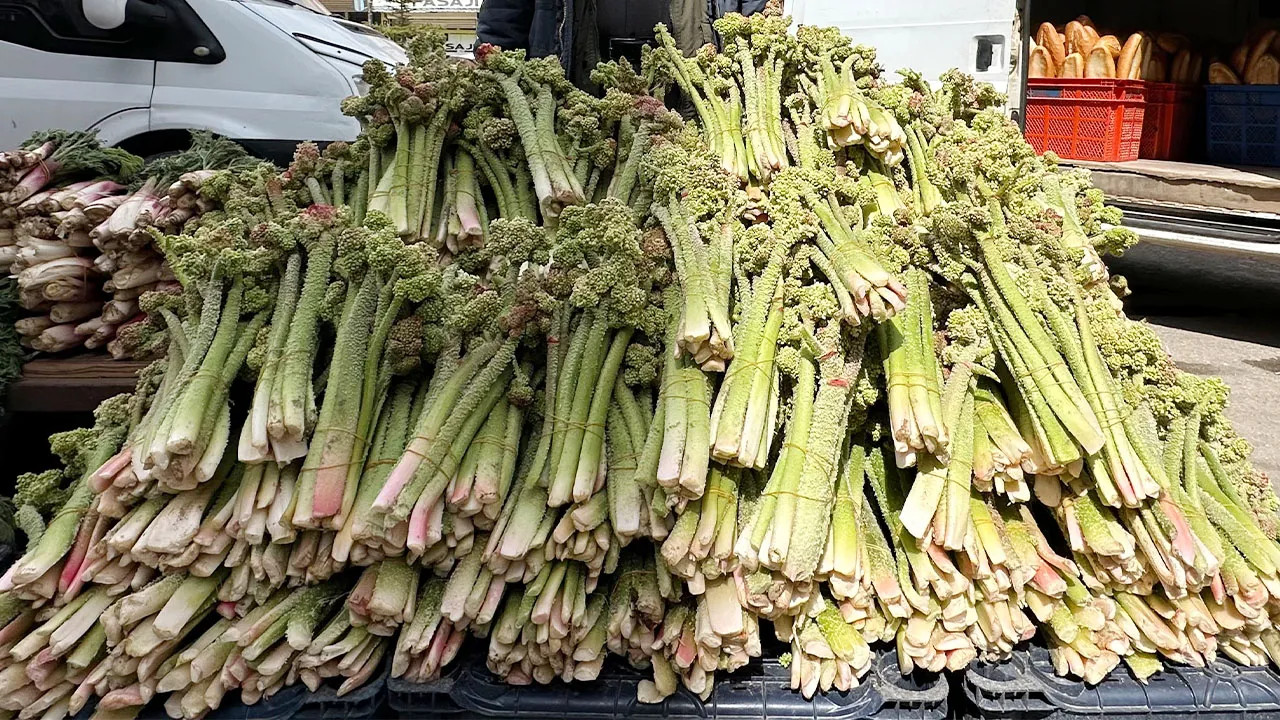 Dağlarda kendiliğinden yetişip köylünün vazgeçilmezi oluyor! Destesi 150 lira