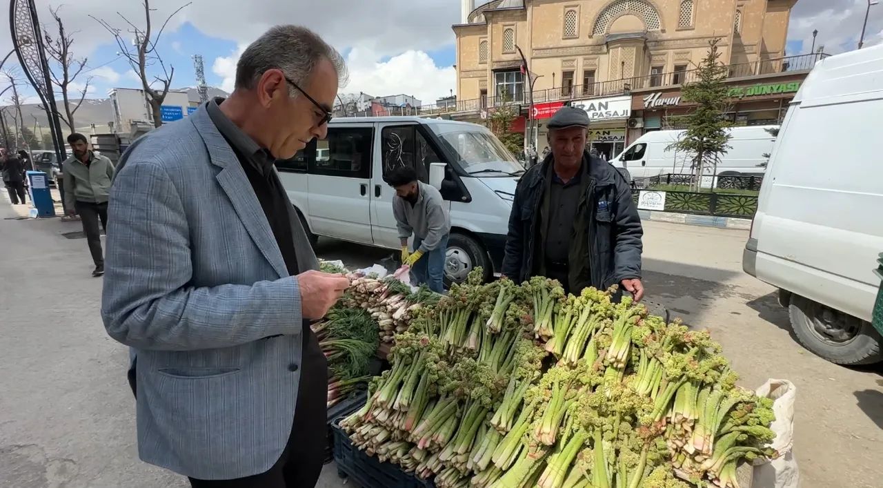 Dağlarda kendiliğinden yetişip köylünün vazgeçilmezi oluyor! Destesi 150 lira