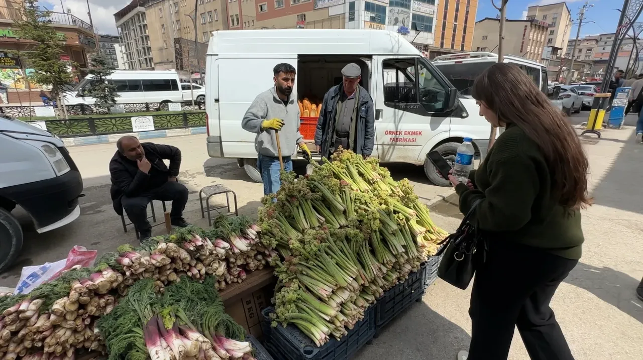 Dağlarda kendiliğinden yetişip köylünün vazgeçilmezi oluyor! Destesi 150 lira