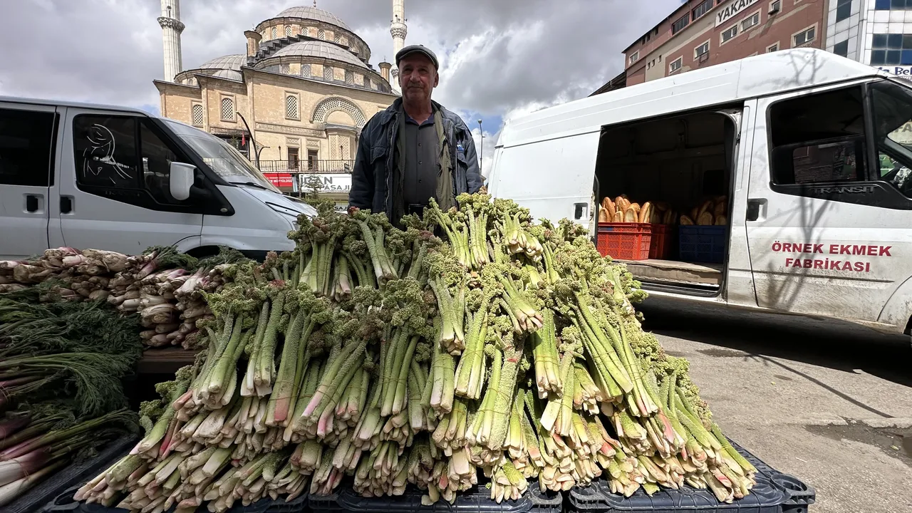 Dağlarda kendiliğinden yetişip köylünün vazgeçilmezi oluyor! Destesi 150 lira