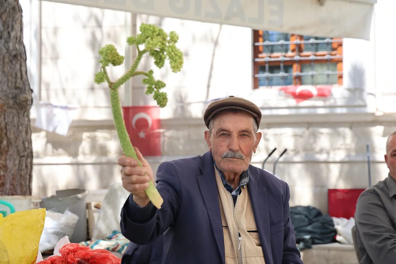 Doğunun muzu  olarak biliniyor, tam bir şifa deposu! Kilosu 400 liradan yok satıyor