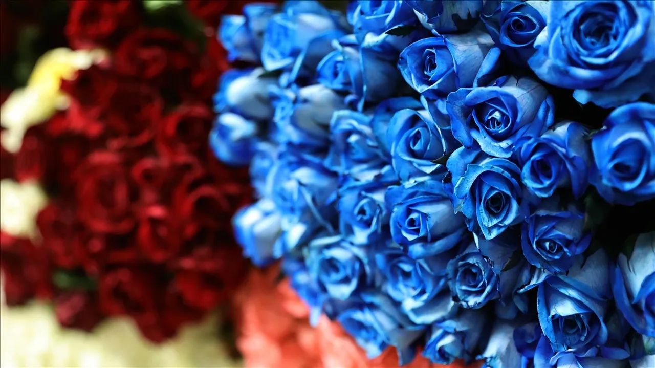 Her yıl mayıs ayının 2. pazar gününde kutlanıyor! 2026 Anneler Günü ne zaman?