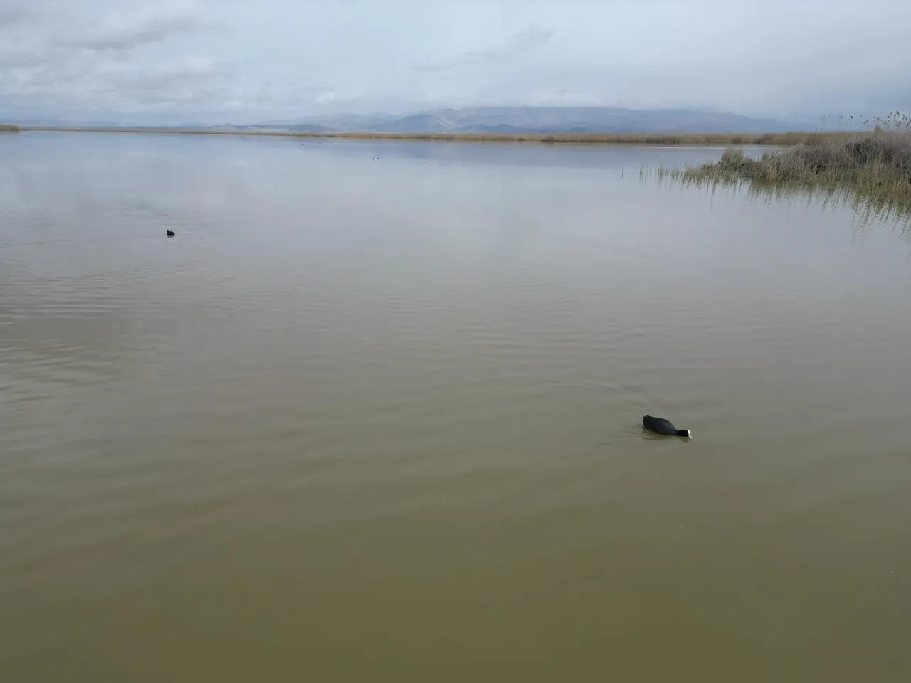 Kuraklık alarmı verilen Eber Gölü’nde su seviyesi yükseldi! Karaya vuran kayıklar yeniden suda