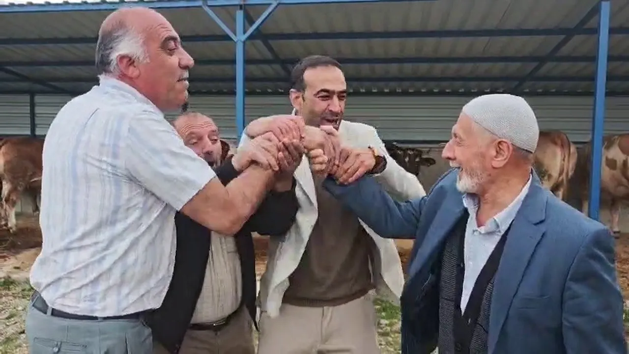 Kurban pazarlarında hareketlilik başladı! İşte büyükbaş hayvan fiyatları