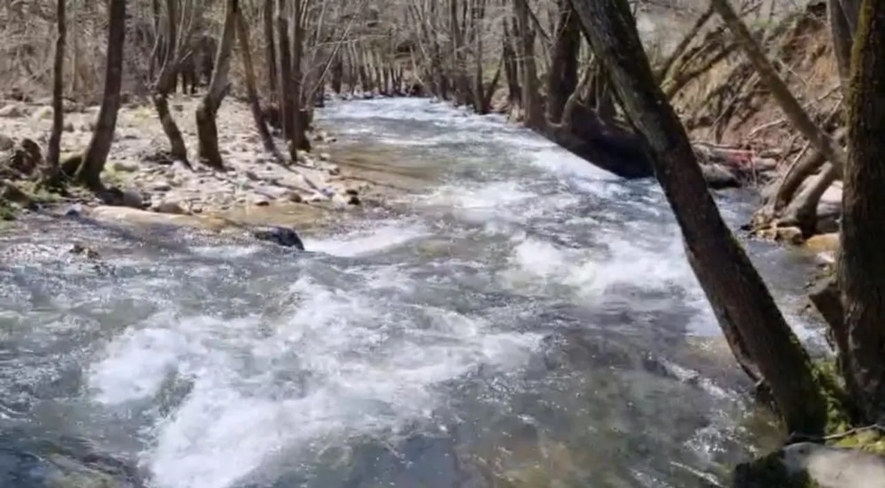 Nilüfer Barajı yüzde 100 doldu! Dereler coştu