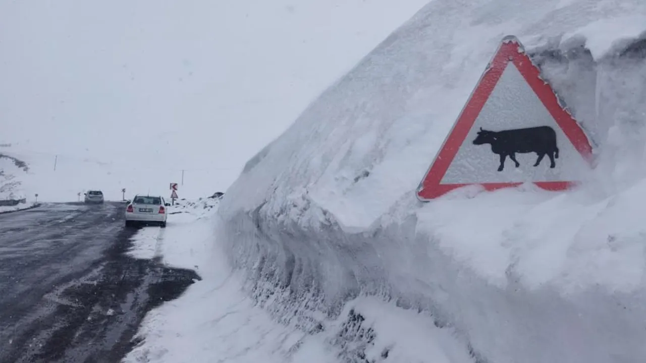 Nisan sonunda lapa lapa yağdı, trafik tabelaları kara gömüldü!